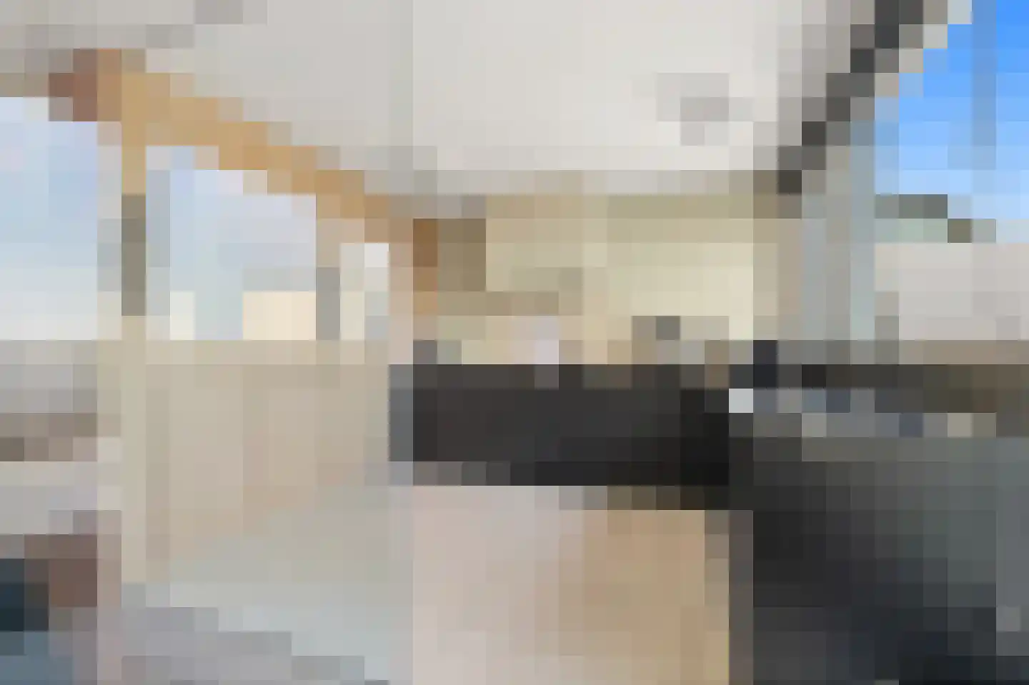 Rederserf 152 Den Haag thumbnail 20