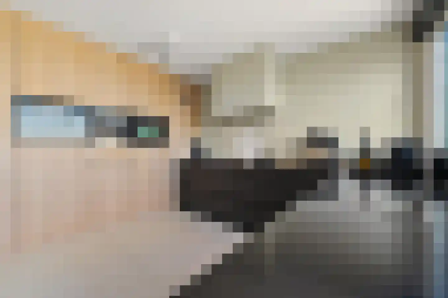 Rederserf 152 Den Haag thumbnail 21