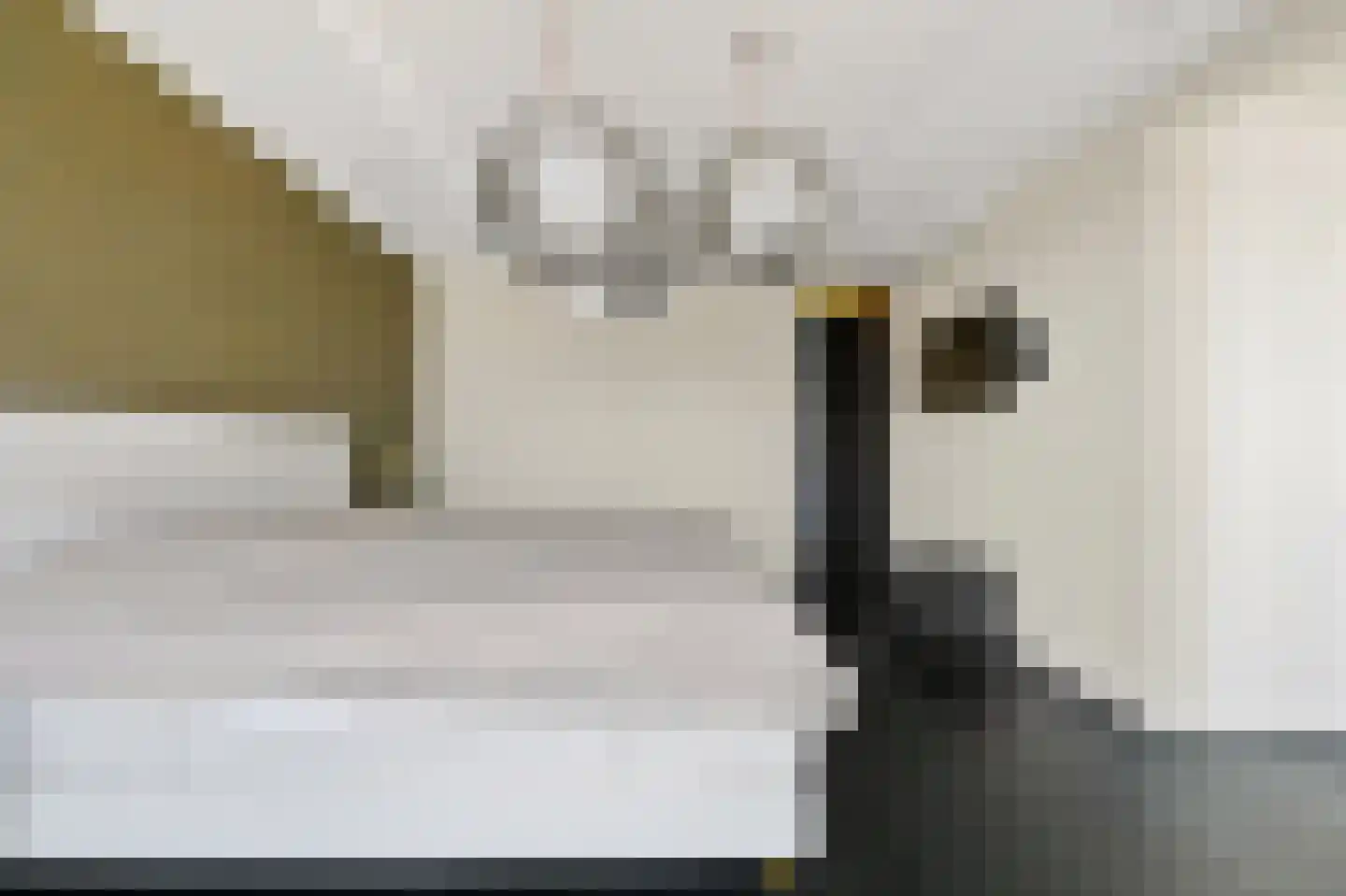 Rederserf 152 Den Haag thumbnail 44