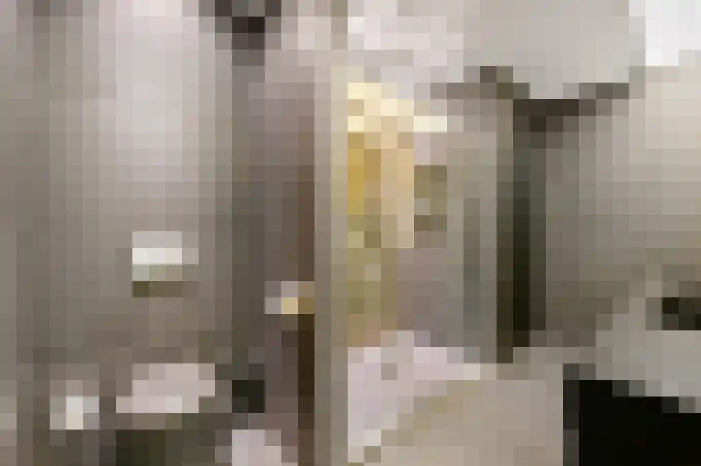 Rederserf 152 Den Haag thumbnail 46
