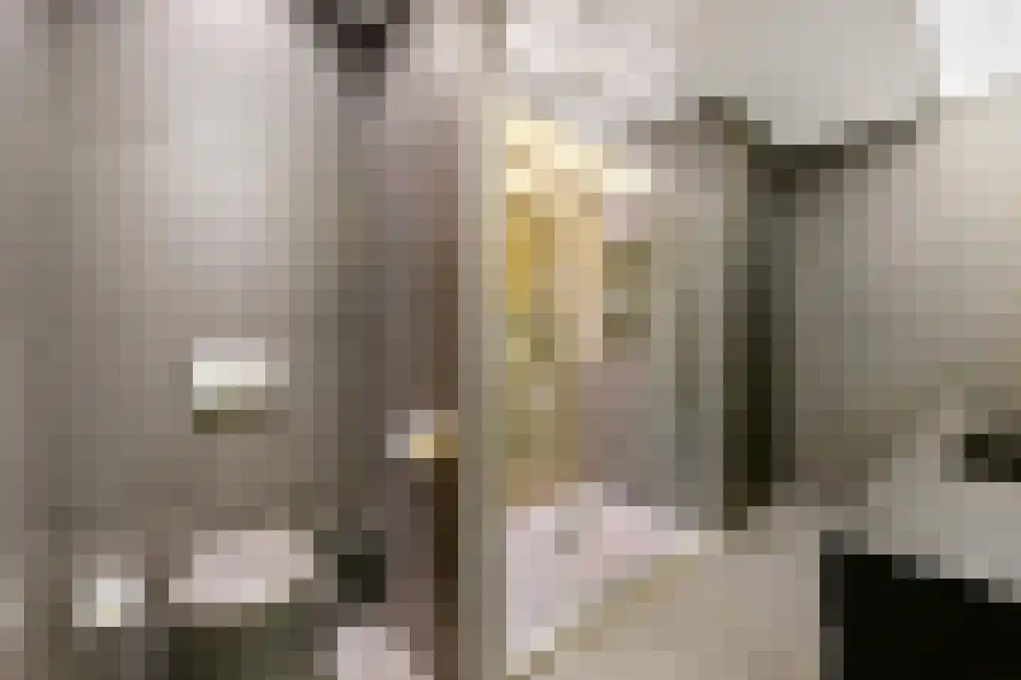 Rederserf 152 Den Haag thumbnail 47