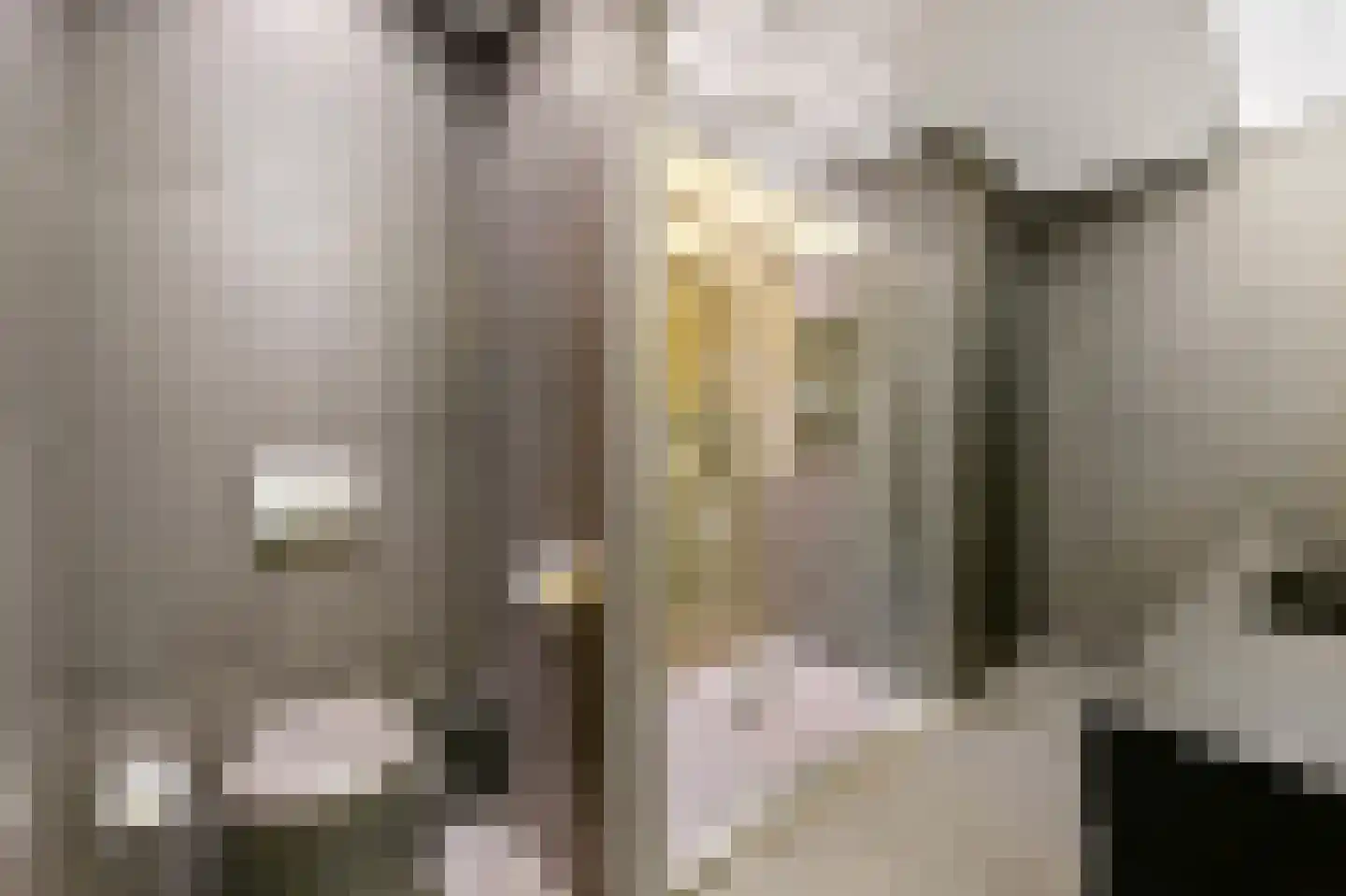 Rederserf 152 Den Haag thumbnail 47