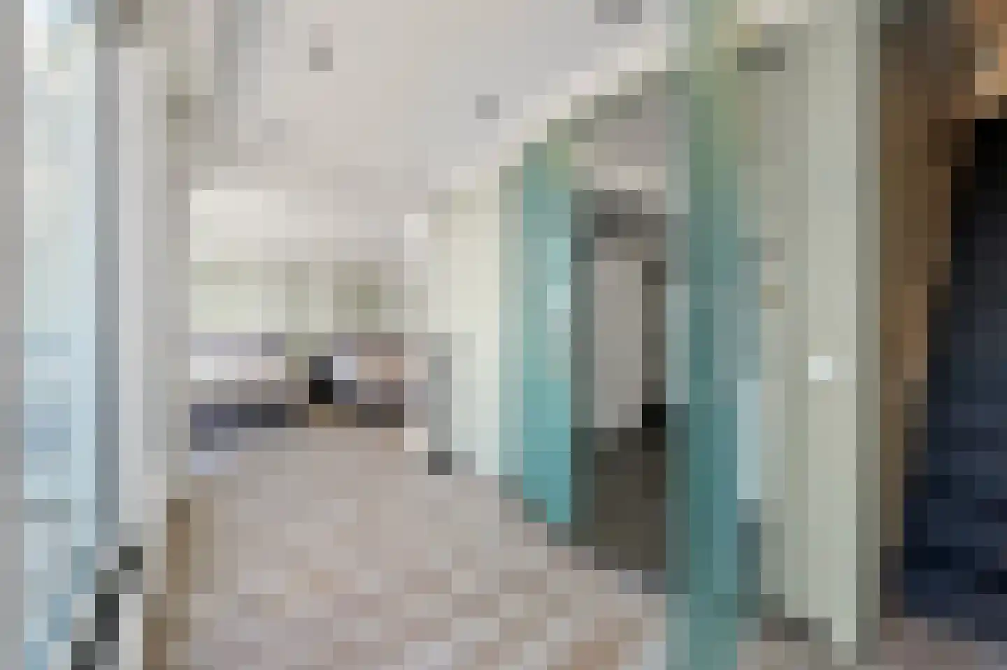 Rederserf 152 Den Haag thumbnail 54