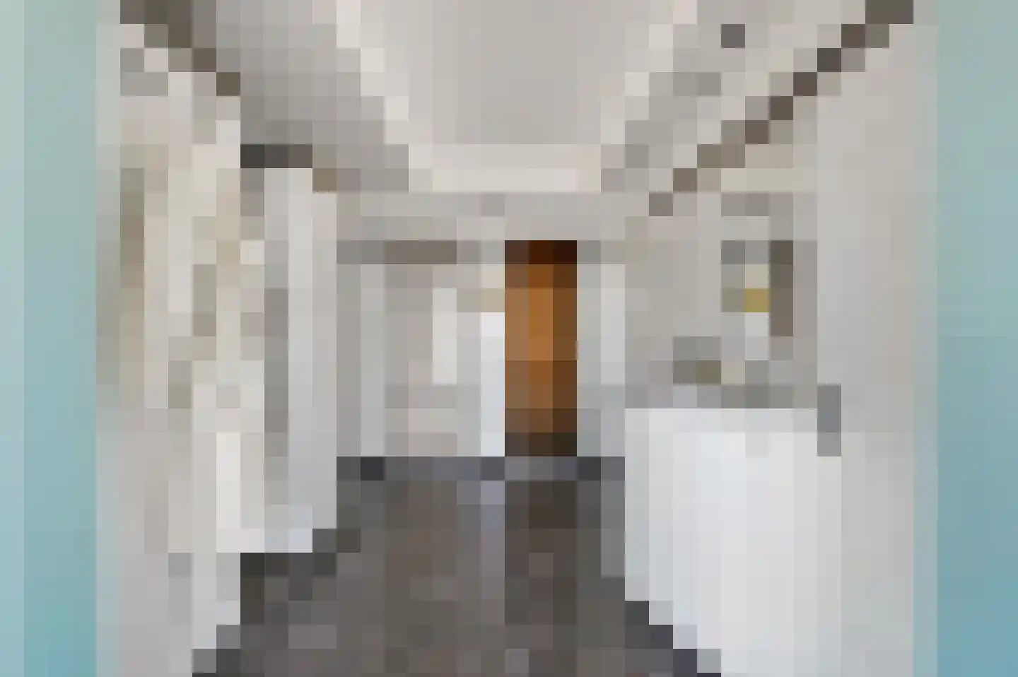 Rederserf 152 Den Haag thumbnail 61