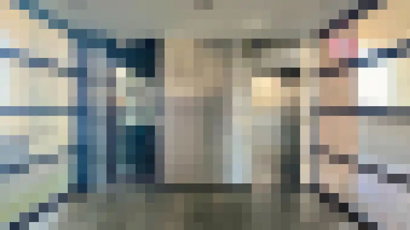 Rederserf 152 Den Haag thumbnail 72