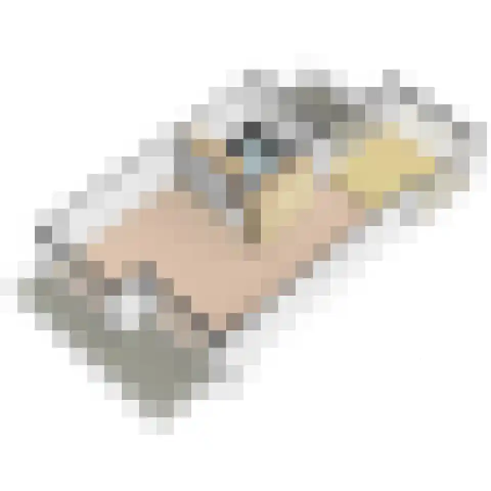 Rederserf 152 Den Haag thumbnail 74