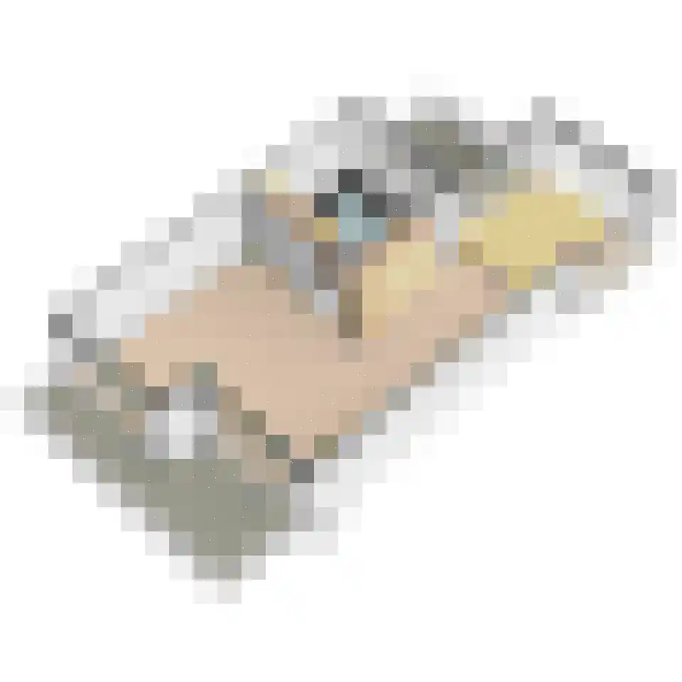 Rederserf 152 Den Haag thumbnail 74