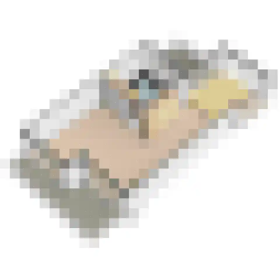 Rederserf 152 Den Haag thumbnail 75