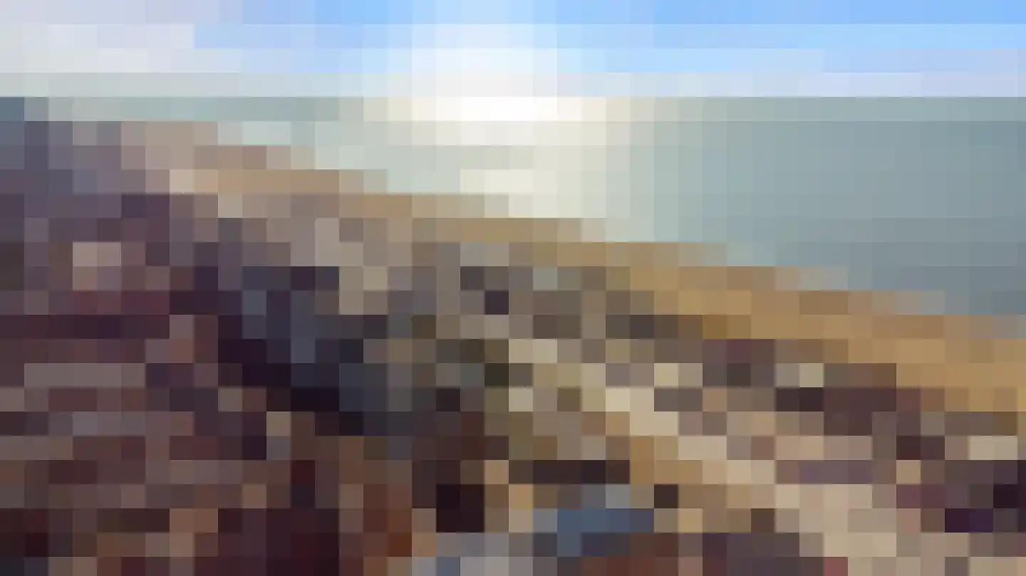 Rederserf 152 Den Haag thumbnail 82