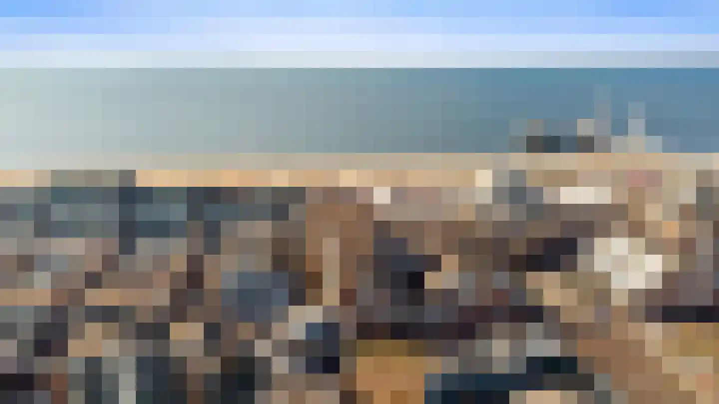 Rederserf 152 Den Haag thumbnail 83