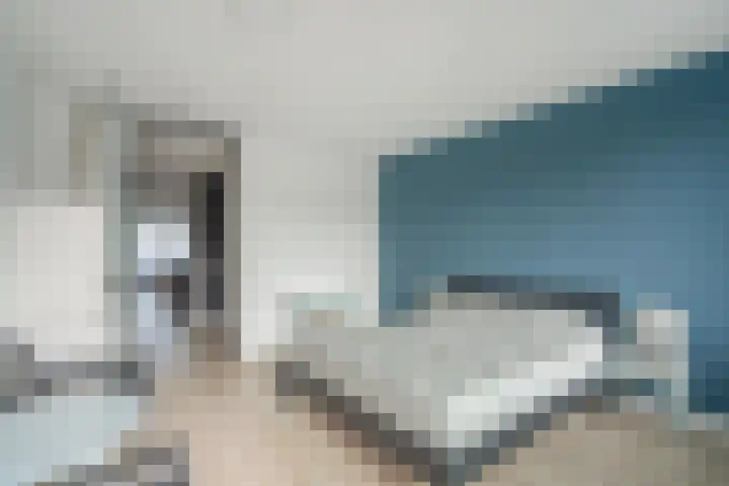 Rederserf 182 Den Haag thumbnail 29