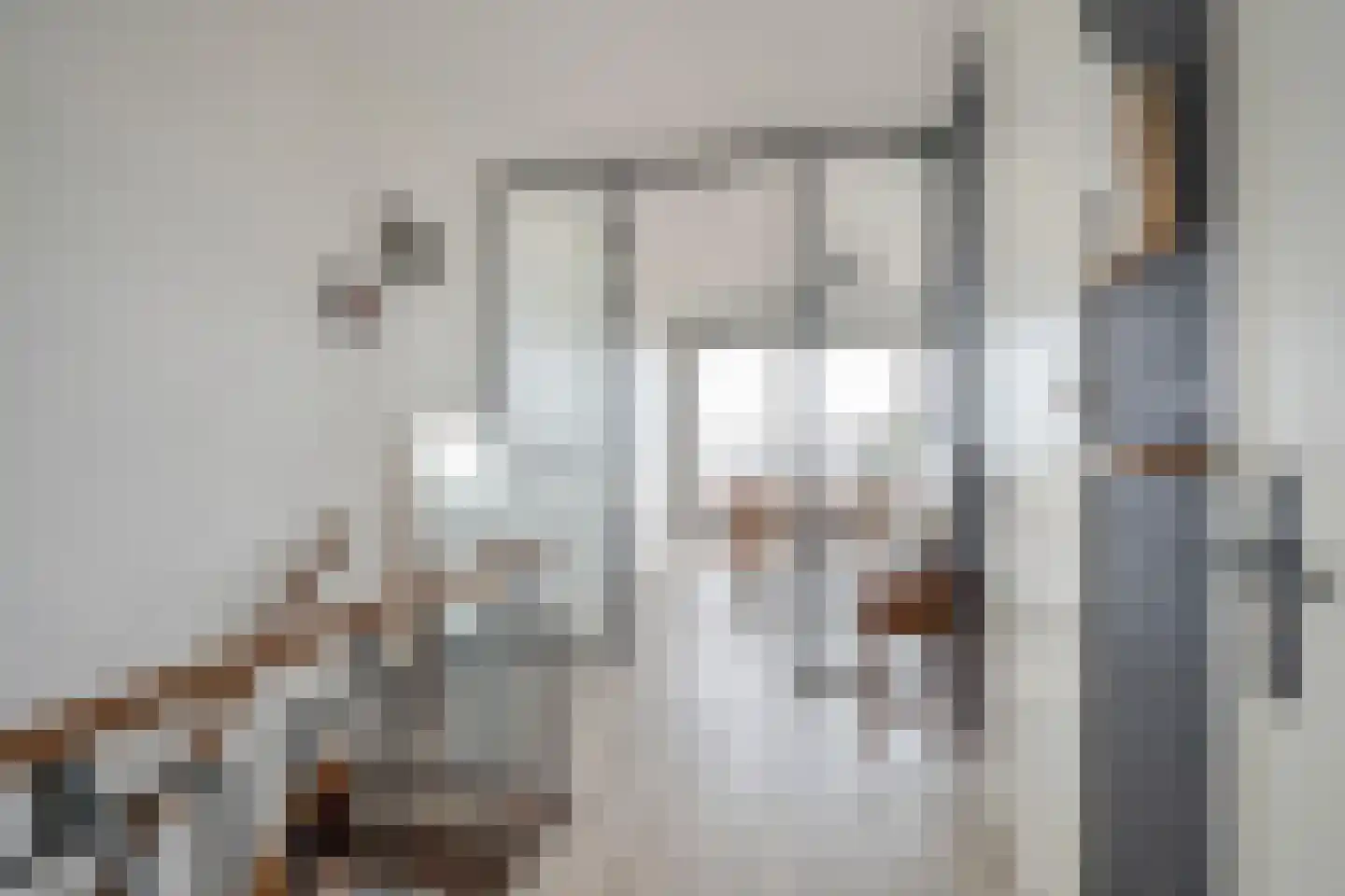 Rederserf 182 Den Haag thumbnail 5