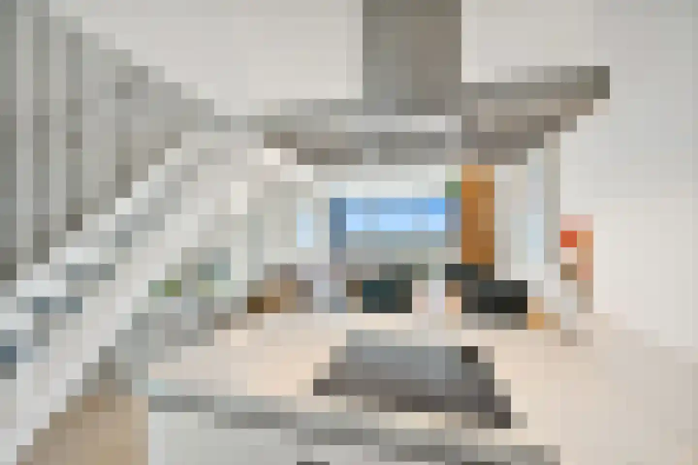 Rederserf 186 Den Haag thumbnail 18