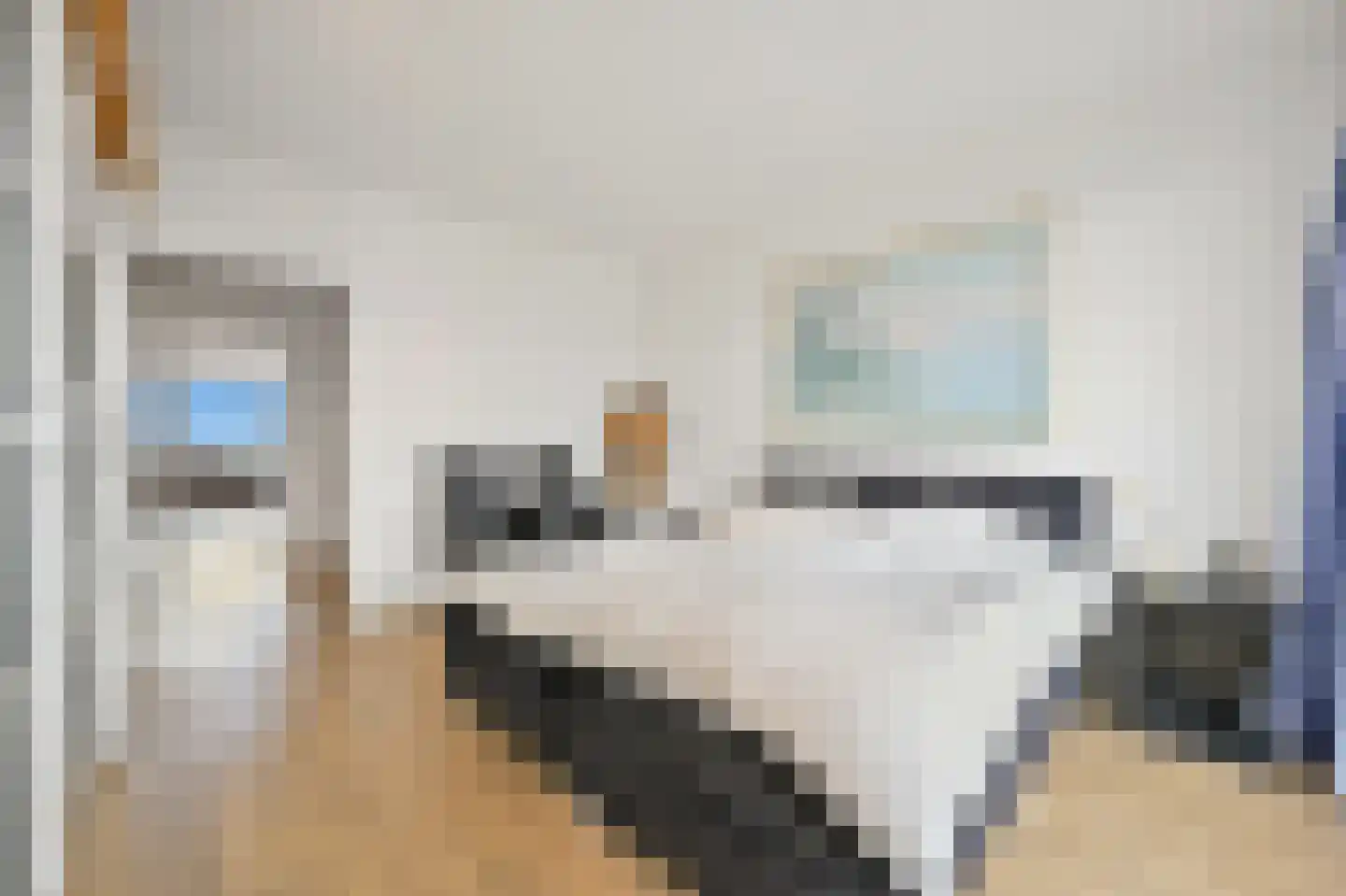 Rederserf 186 Den Haag thumbnail 30
