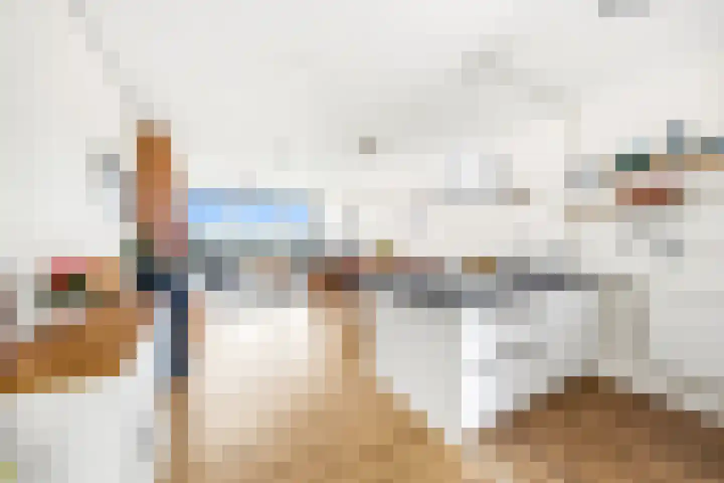 Rederserf 190 Den Haag thumbnail 18