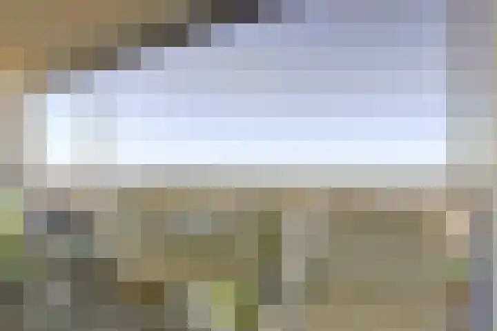 Rederserf 204 Den Haag thumbnail 16