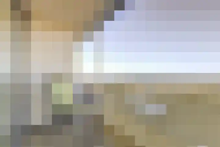 Rederserf 204 Den Haag thumbnail 17