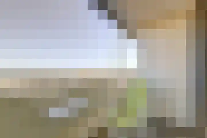 Rederserf 204 Den Haag thumbnail 18