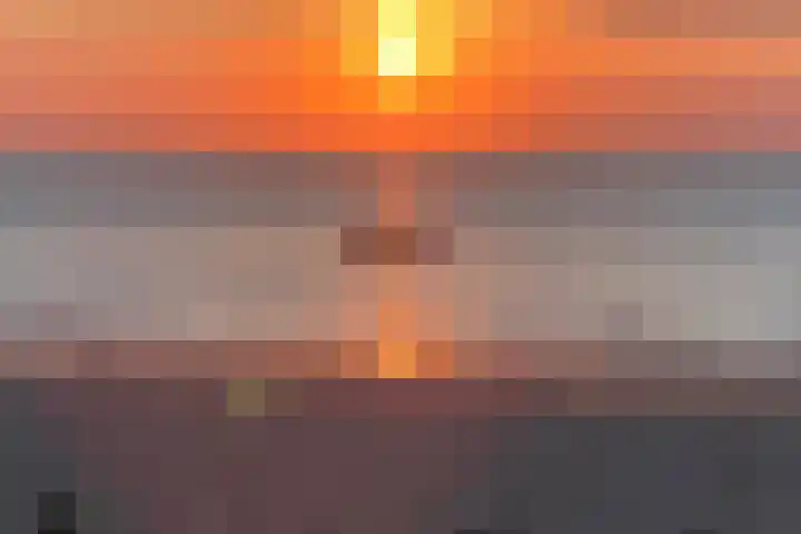 Rederserf 204 Den Haag thumbnail 19