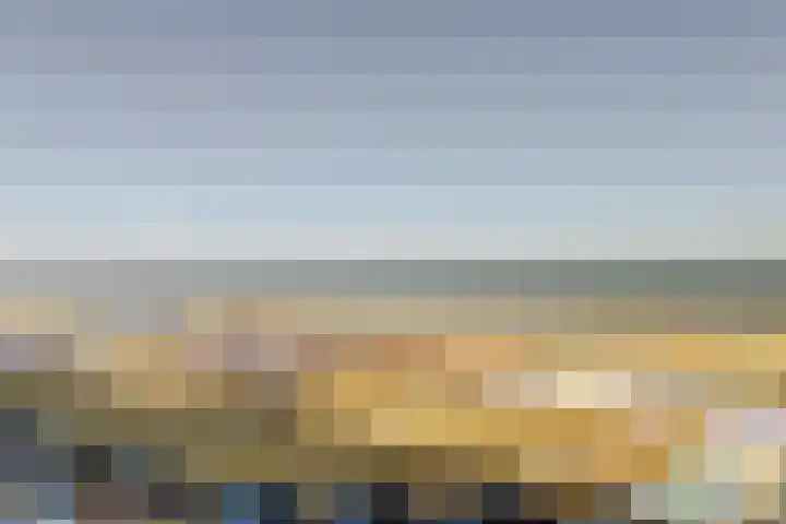 Rederserf 204 Den Haag thumbnail 21