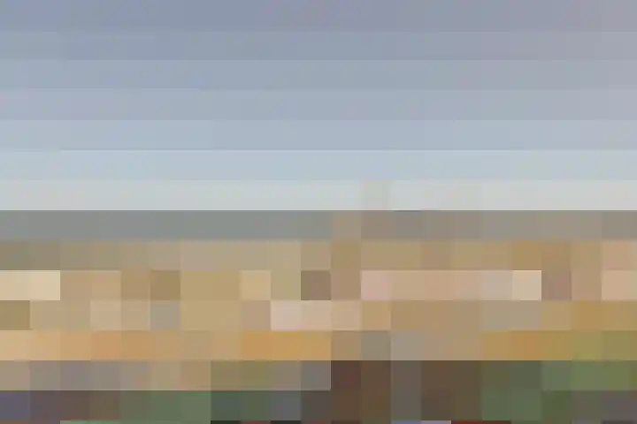Rederserf 204 Den Haag thumbnail 23