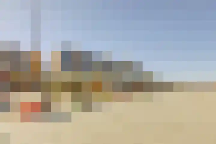 Rederserf 204 Den Haag thumbnail 24