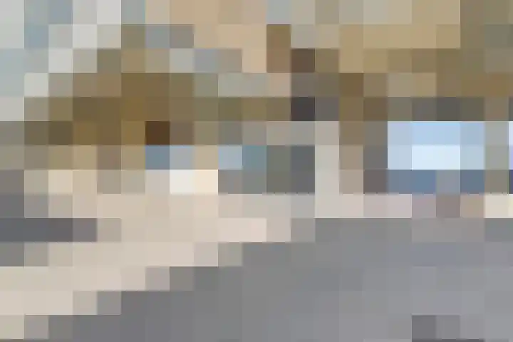 Rederserf 204 Den Haag thumbnail 25