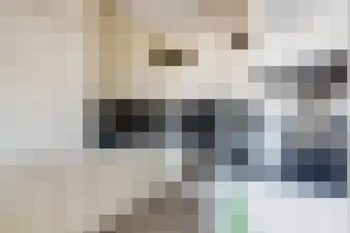Rederserf 204 Den Haag thumbnail 7