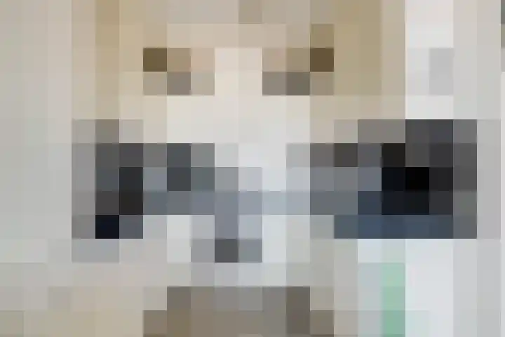 Rederserf 204 Den Haag thumbnail 8