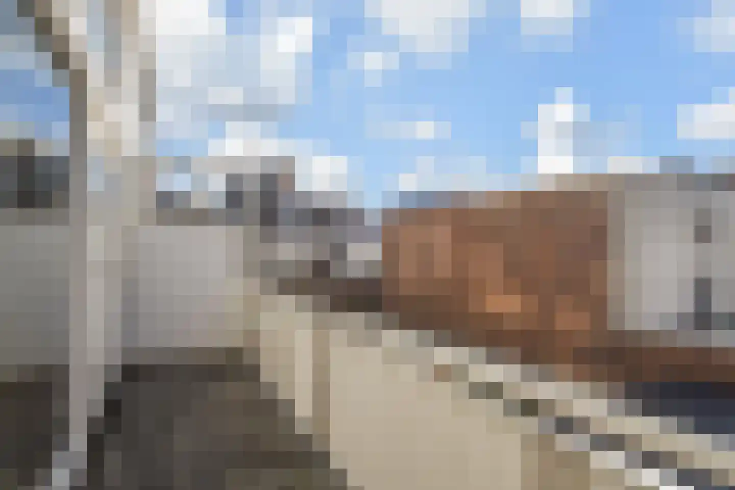 Rederserf 21 Den Haag thumbnail 14
