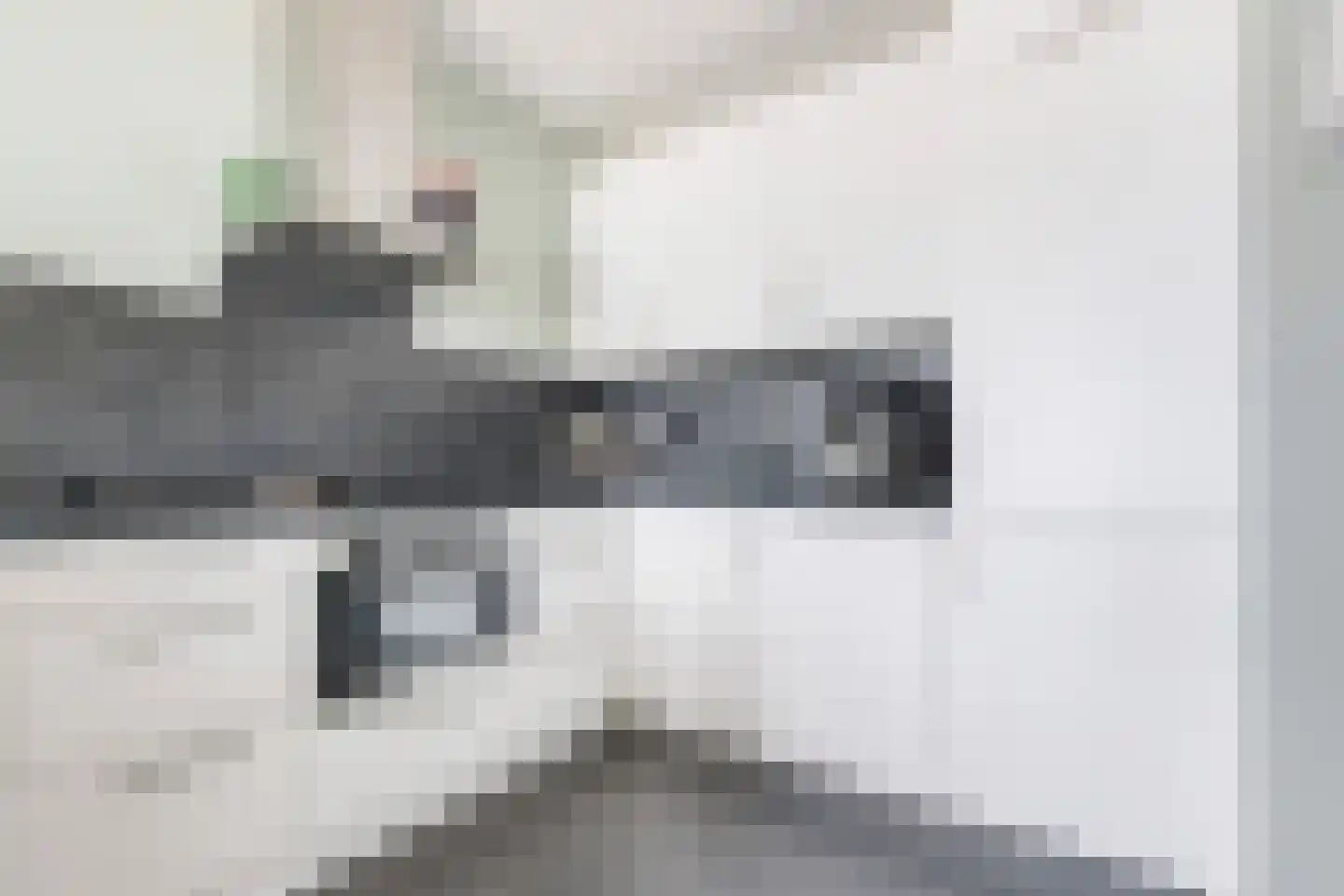 Rederserf 216 Den Haag thumbnail 18