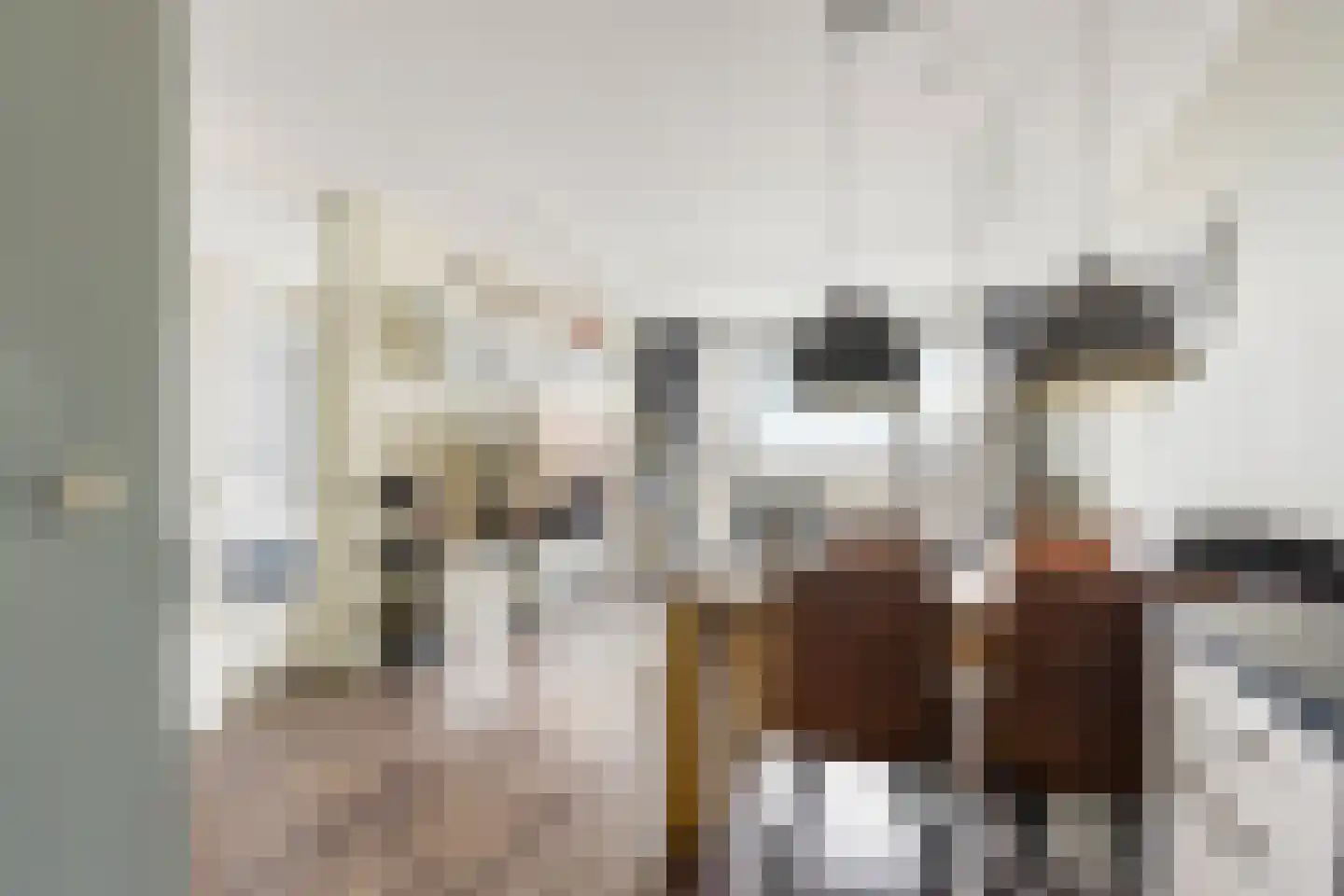 Rederserf 216 Den Haag thumbnail 19