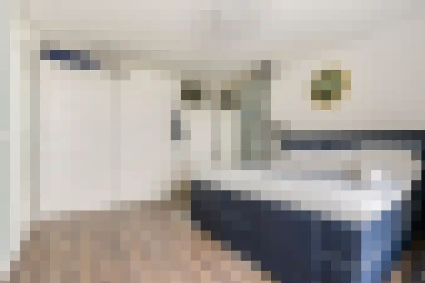 Rederserf 216 Den Haag thumbnail 22