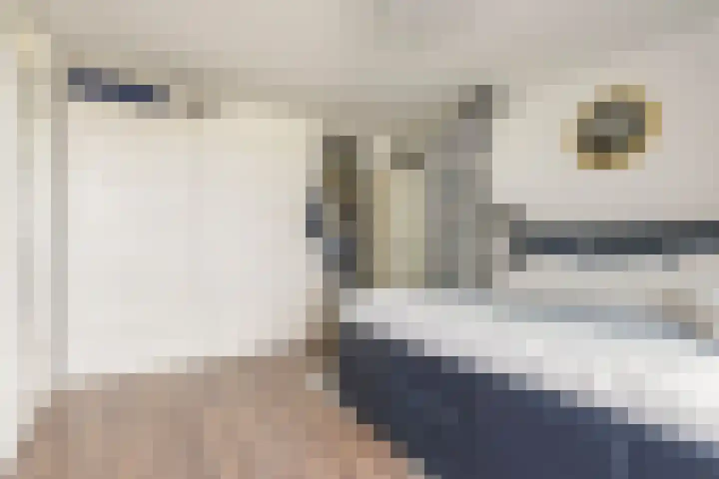 Rederserf 216 Den Haag thumbnail 23