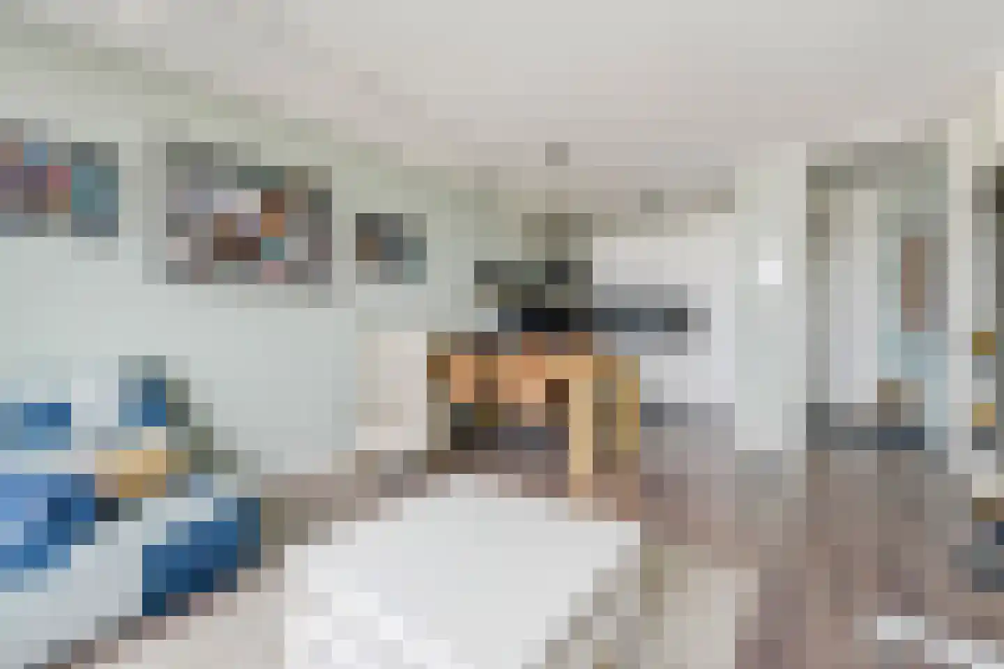 Rederserf 216 Den Haag thumbnail 9