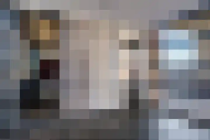 Rederserf 22 Den Haag thumbnail 12
