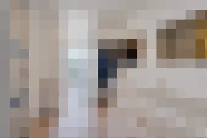 Rederserf 22 Den Haag thumbnail 16
