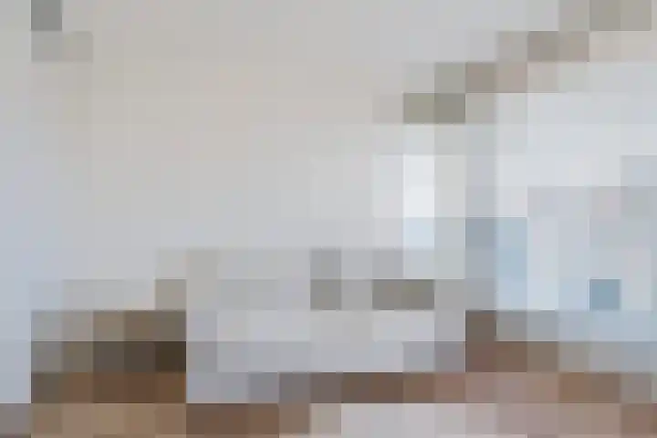 Rederserf 22 Den Haag thumbnail 24