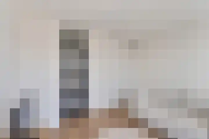 Rederserf 22 Den Haag thumbnail 25