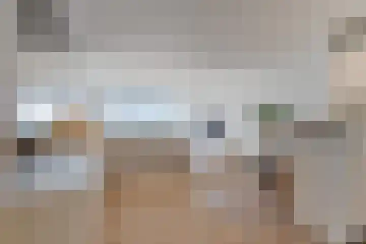 Rederserf 22 Den Haag thumbnail 27