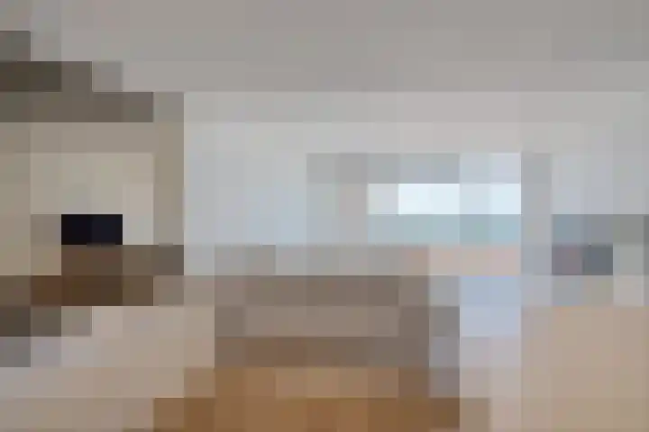 Rederserf 22 Den Haag thumbnail 29