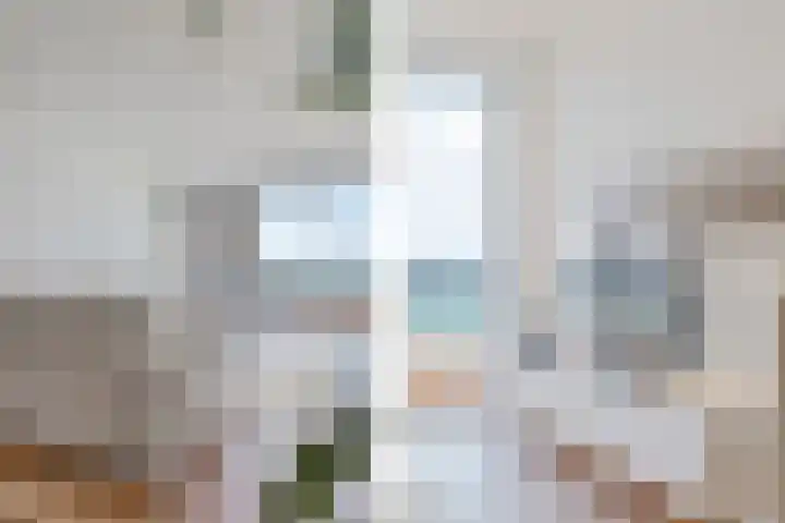 Rederserf 22 Den Haag thumbnail 32