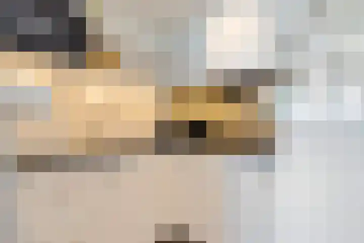 Rederserf 22 Den Haag thumbnail 43