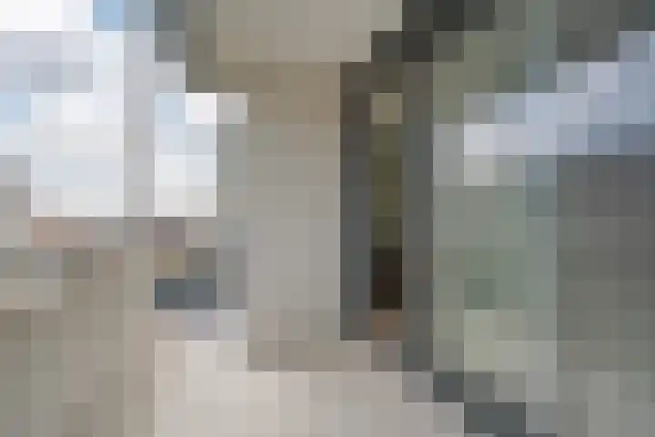 Rederserf 22 Den Haag thumbnail 50
