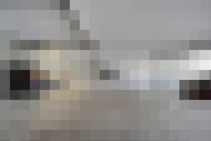 Rederserf 22 Den Haag thumbnail 62