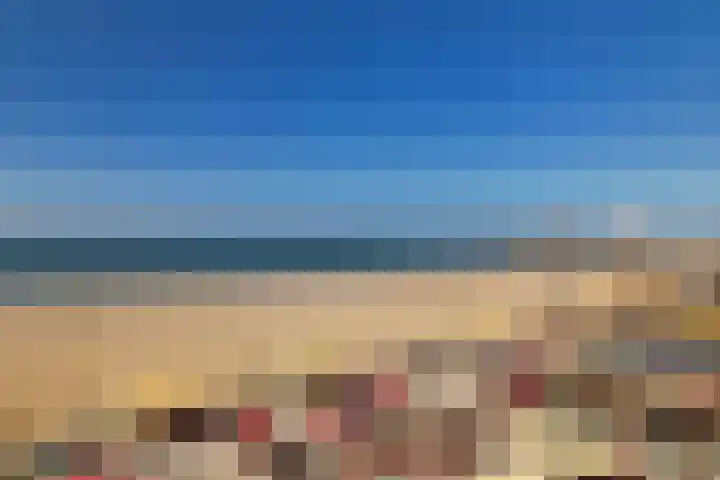 Rederserf 22 Den Haag thumbnail 67