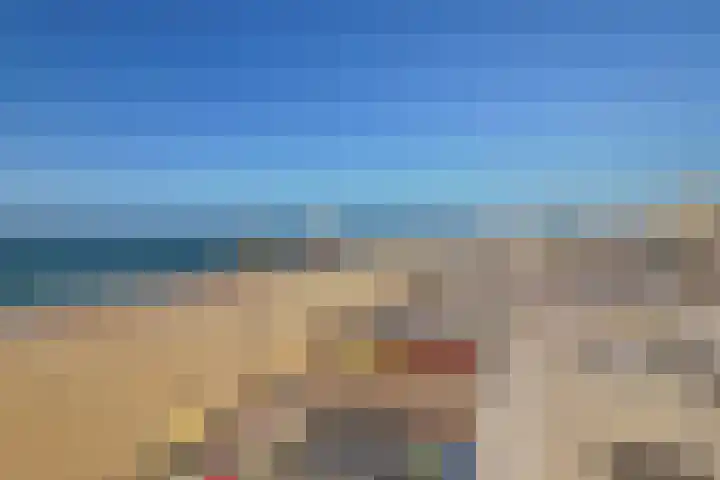 Rederserf 22 Den Haag thumbnail 7