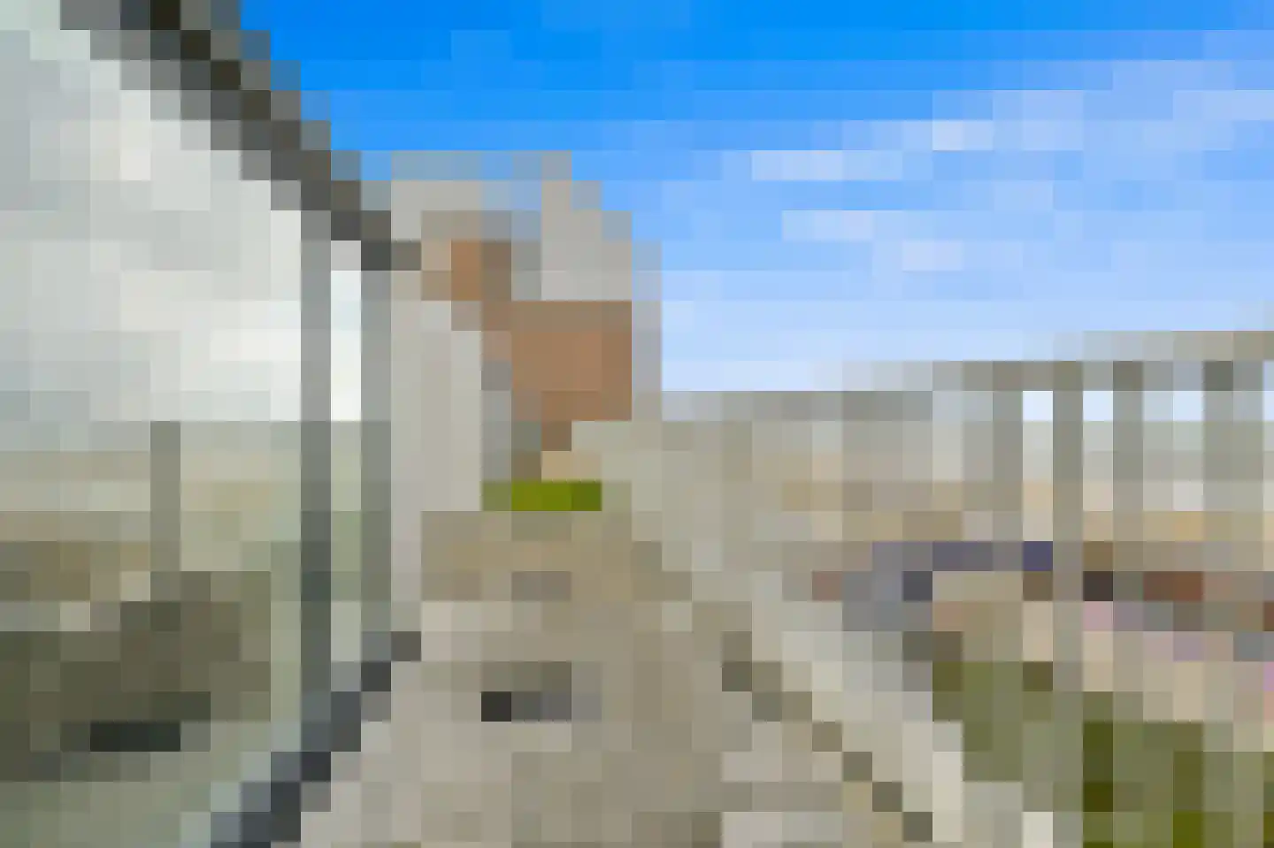 Rederserf 244 Den Haag thumbnail 10