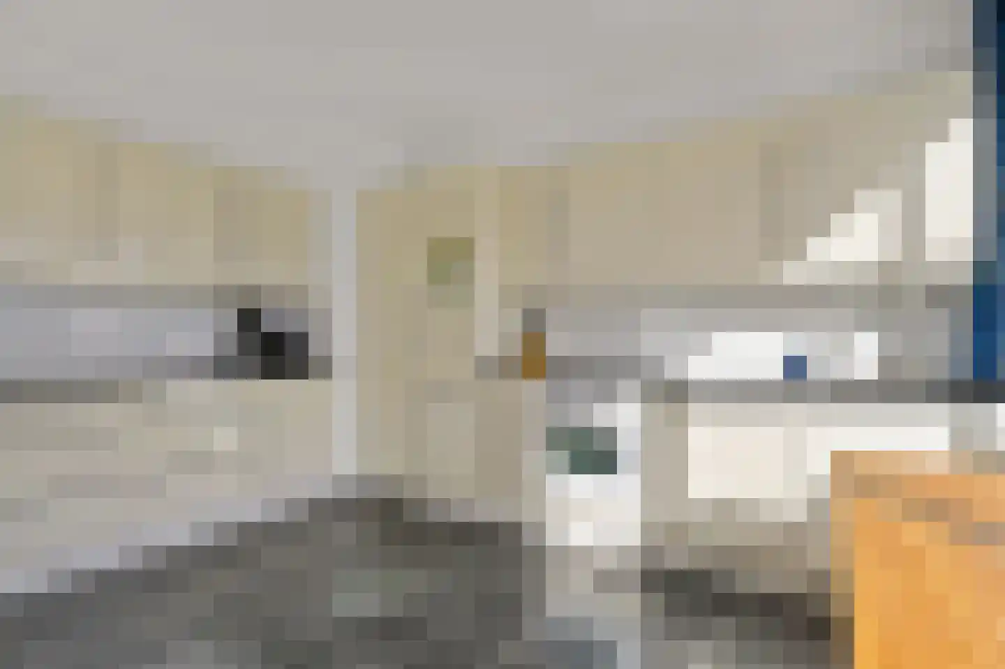 Rederserf 244 Den Haag thumbnail 19