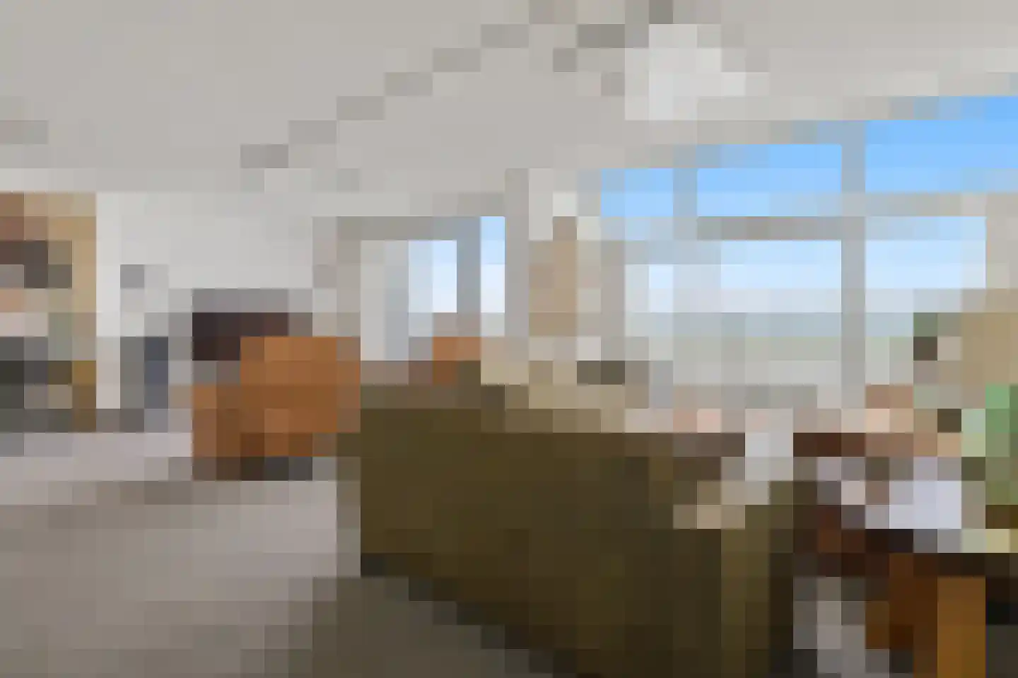 Rederserf 244 Den Haag thumbnail 8
